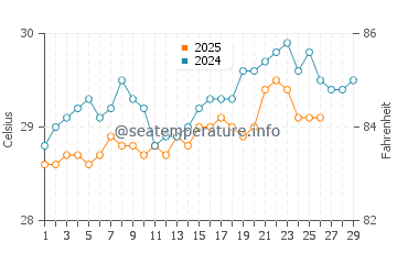 Patong Beach water temp chart in February