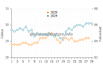 Temperature dell'acqua a PK9 Beach a febbraio
