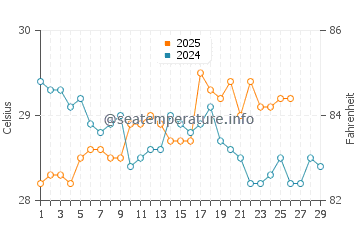 Temperature dell'acqua a Puerto San José a febbraio