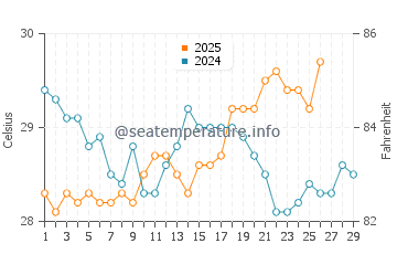 Temperature dell'acqua a Punta Roca a febbraio