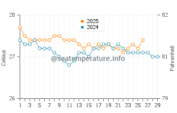 Temperature dell'acqua a Rincon a febbraio