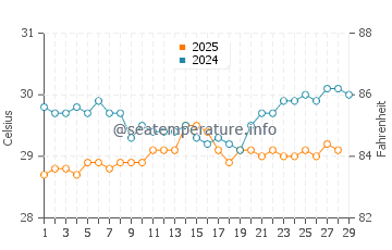 Temperature dell'acqua a Rotoava a febbraio