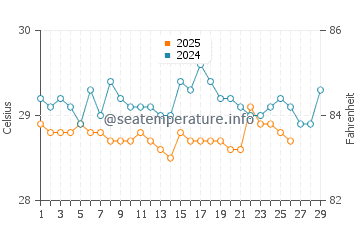 Wassertemperatur São Luís im Februar