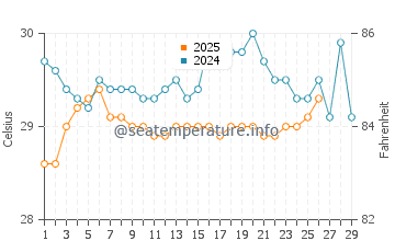 Sekotong Tengah water temp chart in February