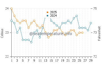 Wassertemperatur Umluj im Februar