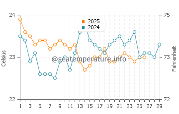 Temperature dell'acqua a Umm Lajj a febbraio
