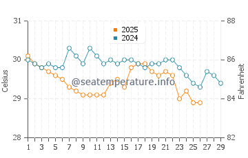 Yorkeys Knob water temp chart in February