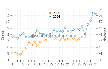 Temperature dell'acqua a Sabbie d'oro a marzo