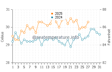 Temperatura vode u Plaža leptira u ožujku