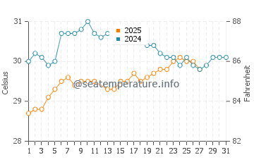 Nungwi water temp chart in March