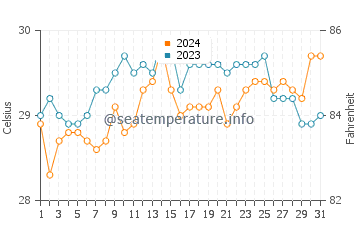 Apo Island water temp chart in May