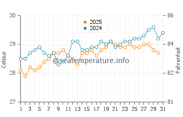 Temperature dell'acqua a Brick Bay a maggio