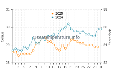 Temperature dell'acqua a Cabo Rojo a maggio
