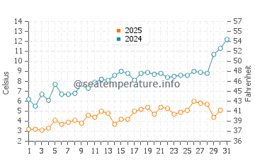 Temperature dell'acqua a Christmas Cove a maggio