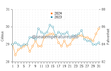 Dauin water temp chart in May