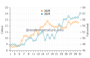 Temperature dell'acqua a Ditch Plains Beach a maggio
