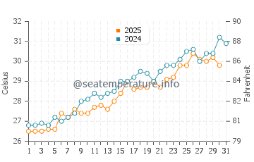 Temperature dell'acqua a Florida Keys a maggio