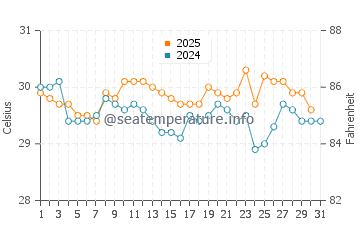 Temperature dell'acqua a Golfito a maggio