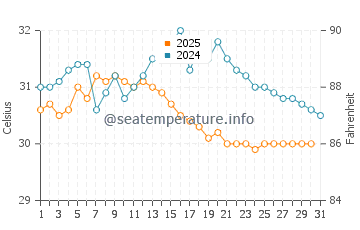 Temperature dell'acqua a Delta dell'Irrawaddy a maggio