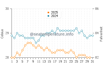 Temperature dell'acqua a Le Diamant a maggio