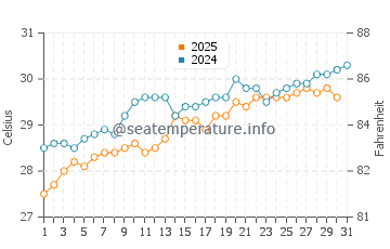 Temperature dell'acqua a Little Cayman a maggio