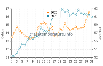 Temperature dell'acqua a Mersea Island a maggio