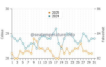 Wassertemperatur Mustique im Mai