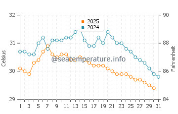 Temperature dell'acqua a Ngwesaung a maggio