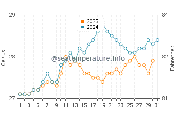 Temperature dell'acqua a Orchid Bay a maggio