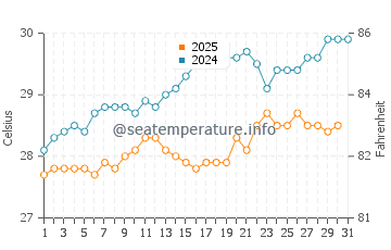 Temperature dell'acqua a Isla Palominos a maggio