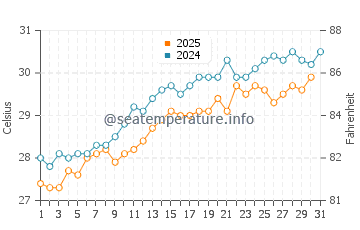 Temperature dell'acqua a Playa Ancón a maggio