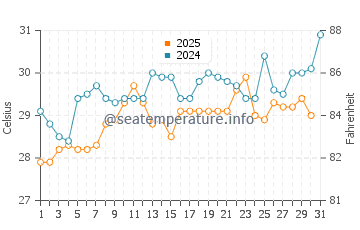 Temperature dell'acqua a Playa Farallon a maggio