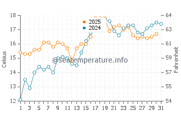 Temperature dell'acqua a Plettenberg Bay a maggio