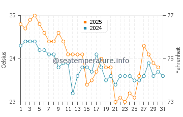 Temperature dell'acqua a Rainbow Bay a maggio