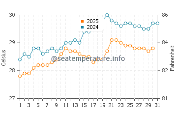 Temperature dell'acqua a Rincon a maggio