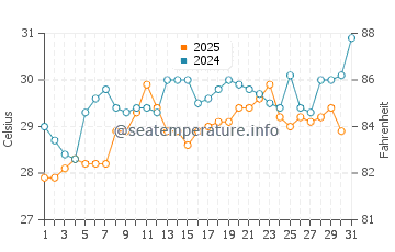 Temperature dell'acqua a Rio Hato a maggio