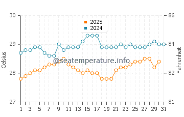 Temperature dell'acqua a Roseau a maggio