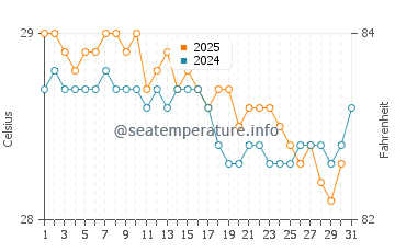 Temperature dell'acqua a Rotoava a maggio