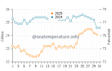 Temperature dell'acqua a Socorro a maggio