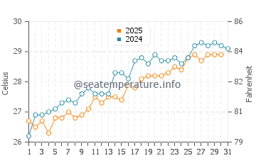 Temperature dell'acqua a Golden Beach a maggio