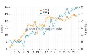 Temperature dell'acqua a Charlestown a maggio