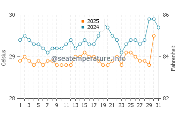 Temperature dell'acqua a Vigia a maggio