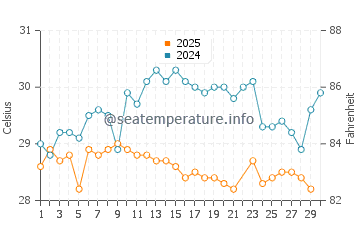 Temperature dell'acqua a Brick Bay a giugno