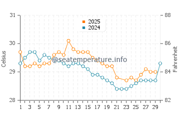 Temperature dell'acqua a Isla Catalina a giugno