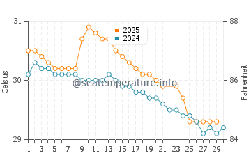 Wassertemperatur El Zonte im Juni