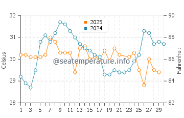 Flamingo water temp chart in June