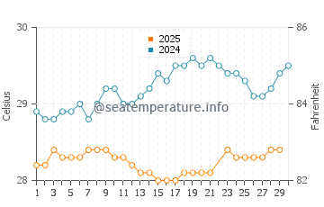 Wassertemperatur Levittown im Juni