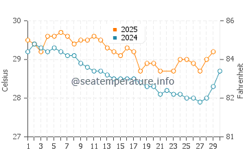 Misool water temp chart in June