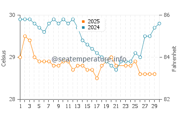 Temperature dell'acqua a Palmas Bellas a giugno