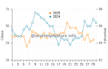 Plantation water temp chart in June